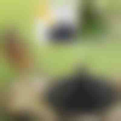 Φέρτε τον κήπο σας στη ζωή με το ηλιακό μαγικό σιντριβάνι | FONTANA