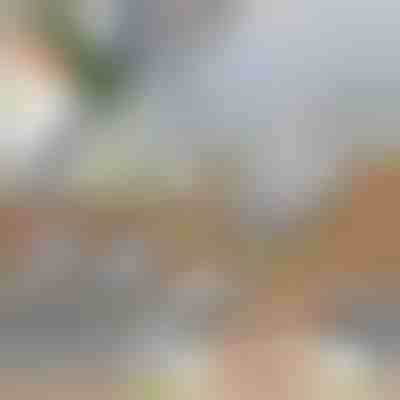 Πολυλειτουργικός κόφτης λαχανικών | SLICEIEST (4 Λεπίδες ΔΩΡΕΑΝ)