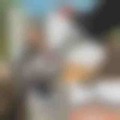 Ειδικό Εργαλείο Για Ακόνισμα Αλυσοπρίονου + τριβείο GRINNEX