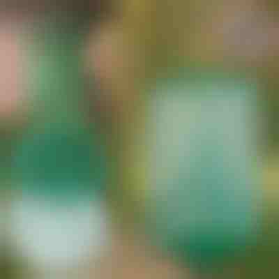 Επαναχρησιμοποιούμενη κρεμαστή παγίδα για μύγες για κήπο, βεράντα και μπαλκόνι | INSECTA