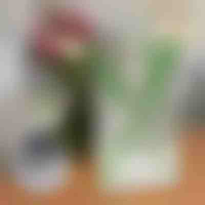 Κομψό βάζο σε σχήμα βιβλίου για λουλούδια | FLOWERFRAME