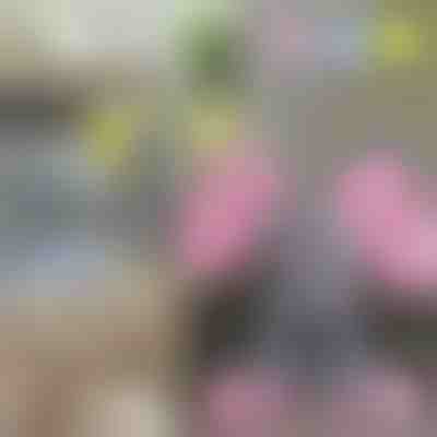 Ελέφαντας που τραγουδάει | TRUMPY