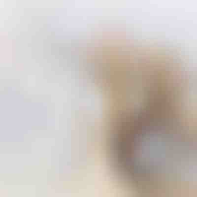 Δοχείο αποθήκευσης τροφίμων | DIVERINO