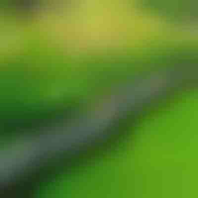 Πέτρινο περίγραμμα κήπου (10 τεμ.) | MINIFENCE