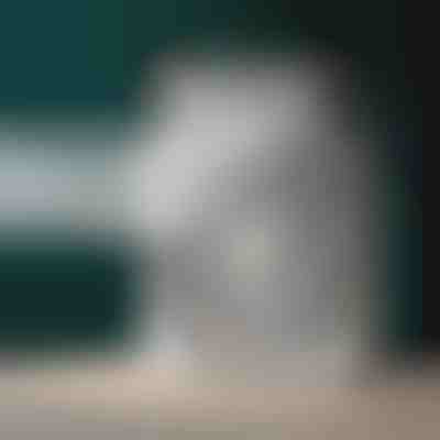 Φορητό κλιματιστικό | FRIOZA