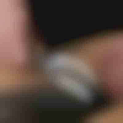 Αποφλεγωτής ψαριών από ανοξείδωτο ατσάλι | FISHBLADE